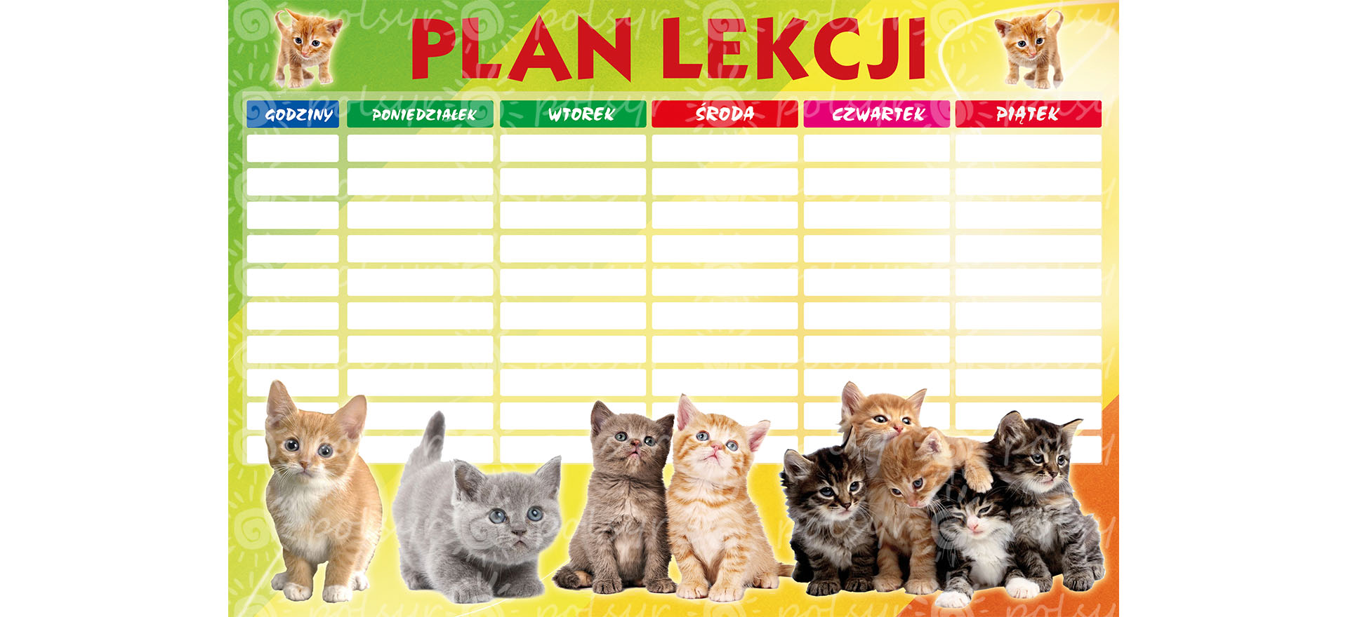 Plan lekcji  A4 (1szt.) Polsyr D